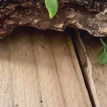 Load and play video in Gallery viewer, Bright Patchwork Seed Bead Bracelet - Custom Fit with Magnetic Clasp
